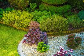 2026世界杯官网 宁国附近哪里有绿化草坪卖场